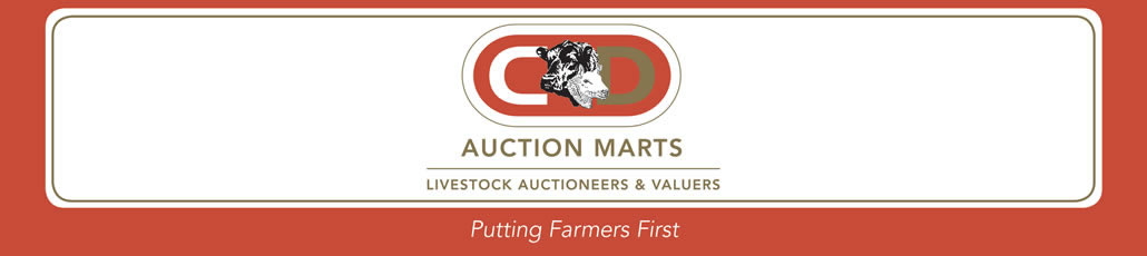 Longtown Auction Mart