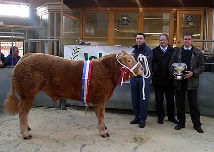 Christmas Topper Rude Boy R to L James Forsyth, Mid Bishopton, Judge R Kirkhope, Sponsor Robin Vevers Frank Johnston (Tractors) Ltd Champion Home Bred 15mo Charolais Bullock ‘Rude Boy’  (580Kg) at 340p or £1972.00 sold to Fraser Butchers Stranraer