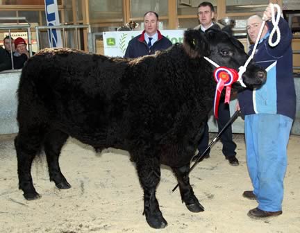 Champion Galloway R to L, Judge J Scott of John Scott Meats Paisley Ltd, Sponsor R Vevers of Frank Johnston Tractors Ltd, S McKinnon