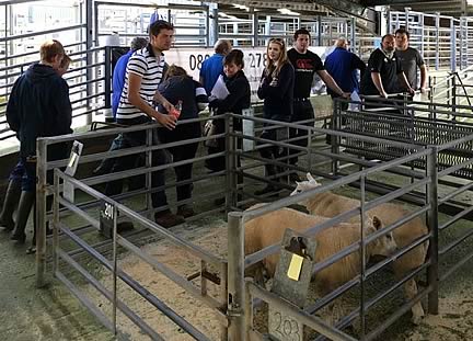 Lower Nithsdale Young Farmers