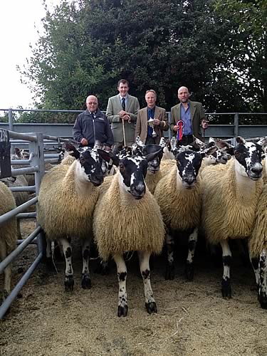 Champion Ewe Lambs l to r D Bryson (Sponsor), Ewan Pate (Judge), John Park, Stewart Park