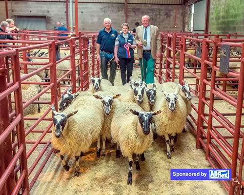 Champion Pen from R and M Carruthers - Hillbrae