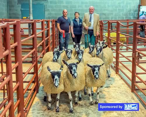 Reserve Champion Pen from J T James - Midtodhills