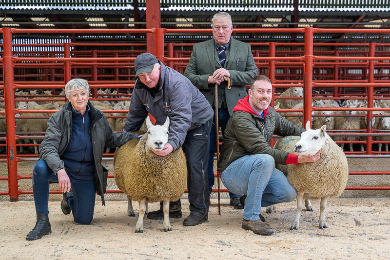 Champion and Reserve